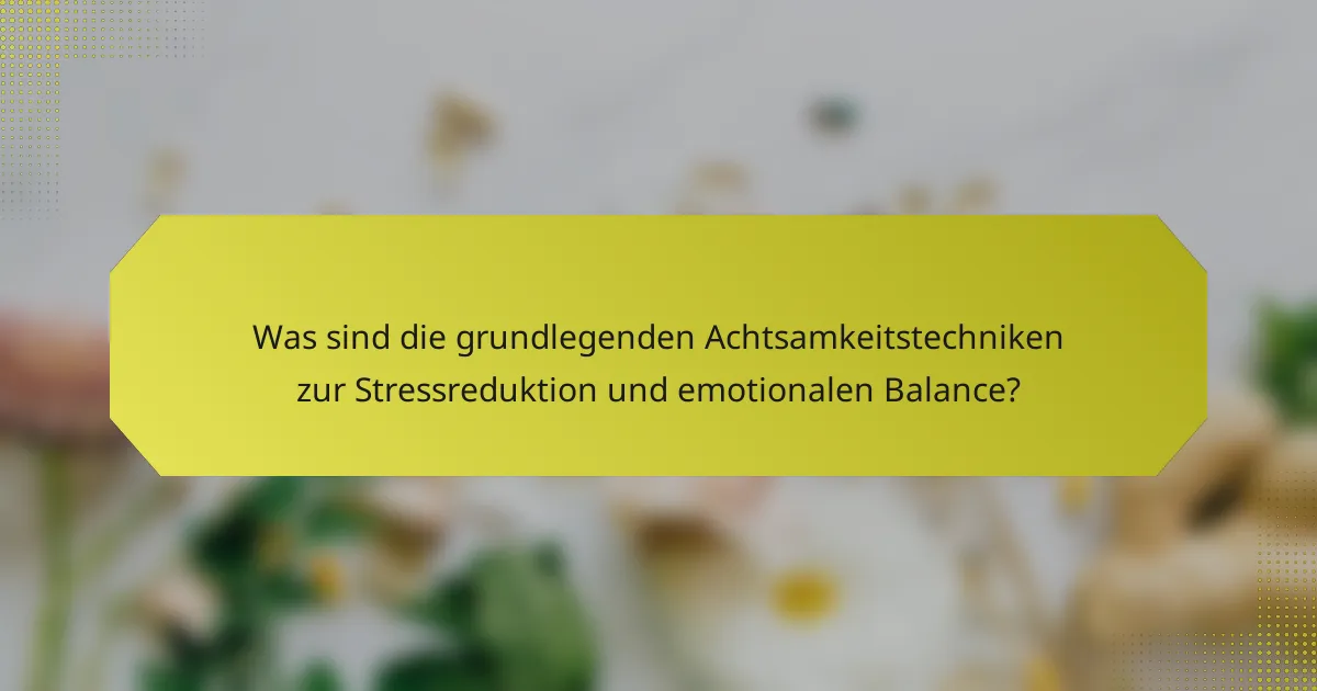 Was sind die grundlegenden Achtsamkeitstechniken zur Stressreduktion und emotionalen Balance?