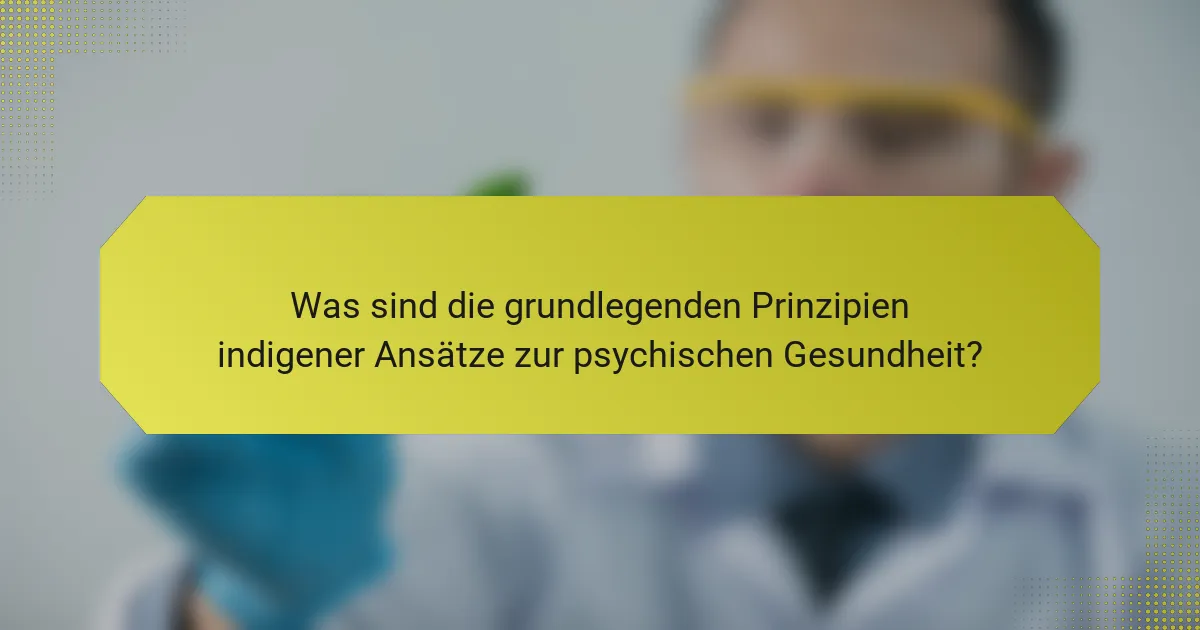 Was sind die grundlegenden Prinzipien indigener Ansätze zur psychischen Gesundheit?