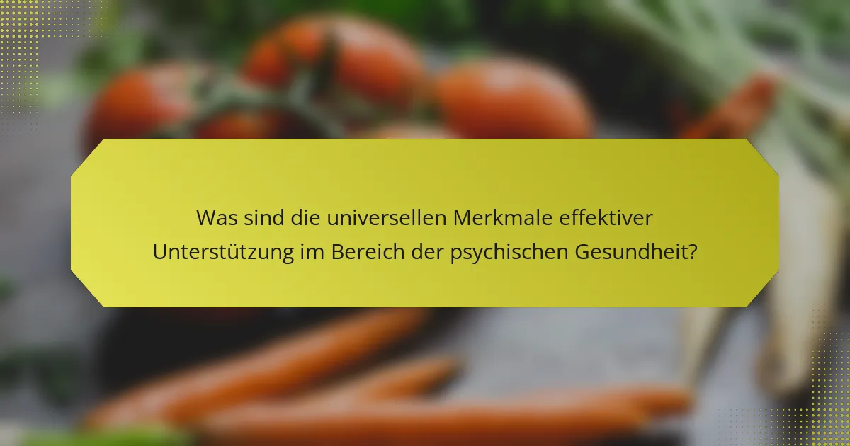 Was sind die universellen Merkmale effektiver Unterstützung im Bereich der psychischen Gesundheit?