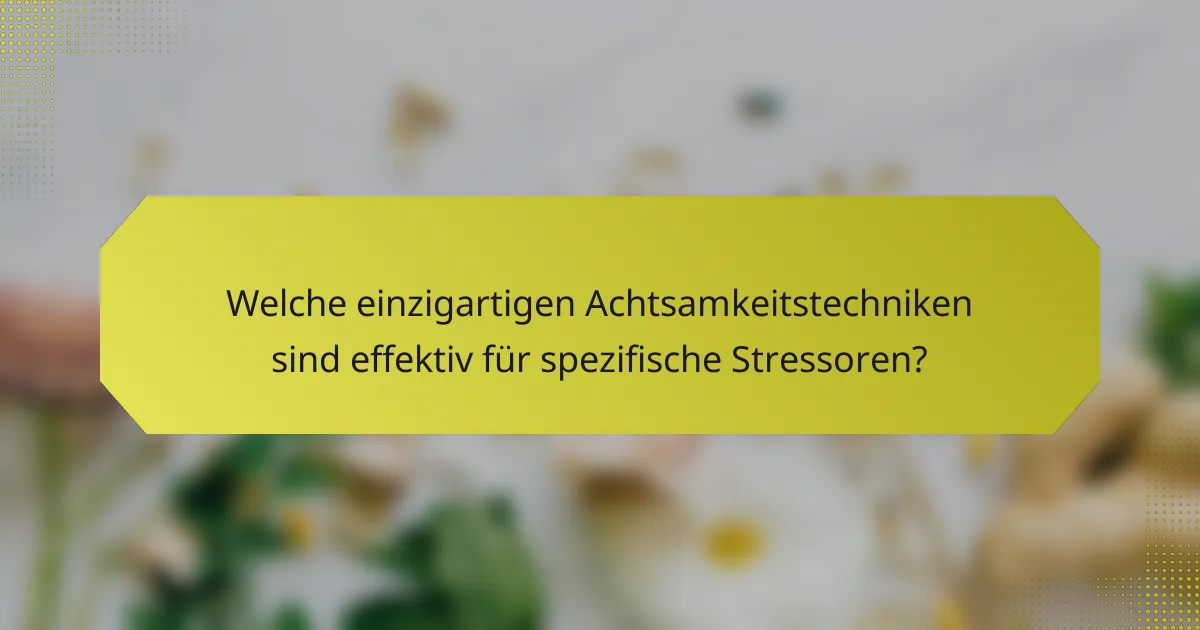 Welche einzigartigen Achtsamkeitstechniken sind effektiv für spezifische Stressoren?