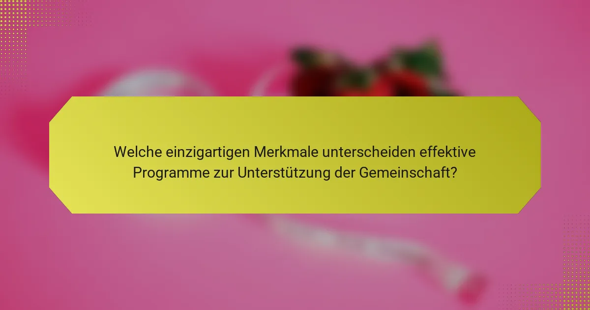 Welche einzigartigen Merkmale unterscheiden effektive Programme zur Unterstützung der Gemeinschaft?