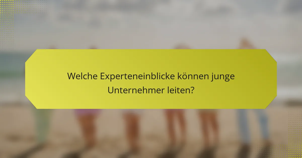 Welche Experteneinblicke können junge Unternehmer leiten?