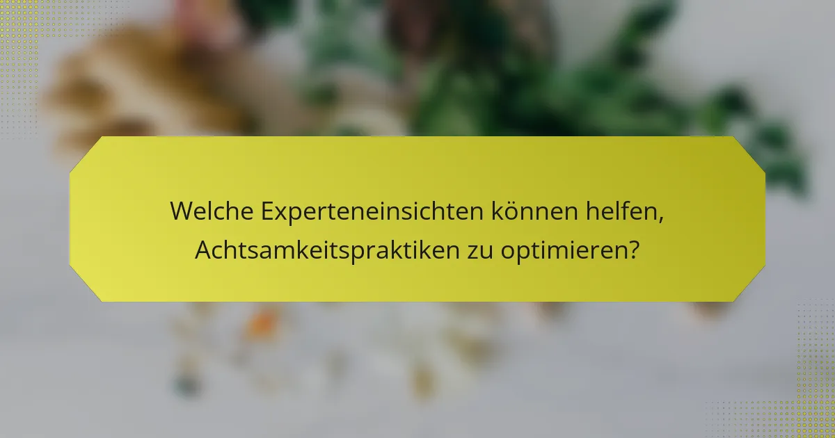 Welche Experteneinsichten können helfen, Achtsamkeitspraktiken zu optimieren?