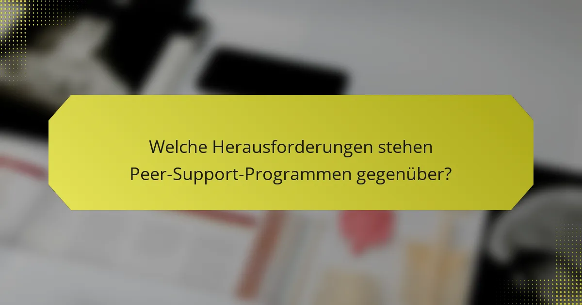 Welche Herausforderungen stehen Peer-Support-Programmen gegenüber?